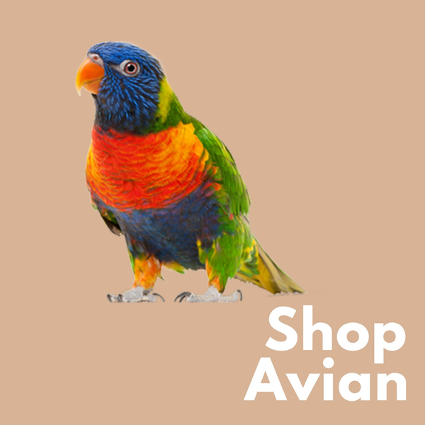 Avian