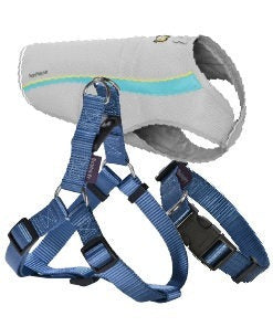 Apparel, Leashes &amp; Collars for Dog