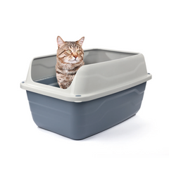 Georplast Colosseo High Edge Cat Litter Tray